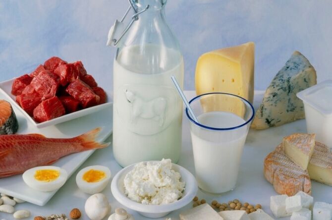 proteinprodukter